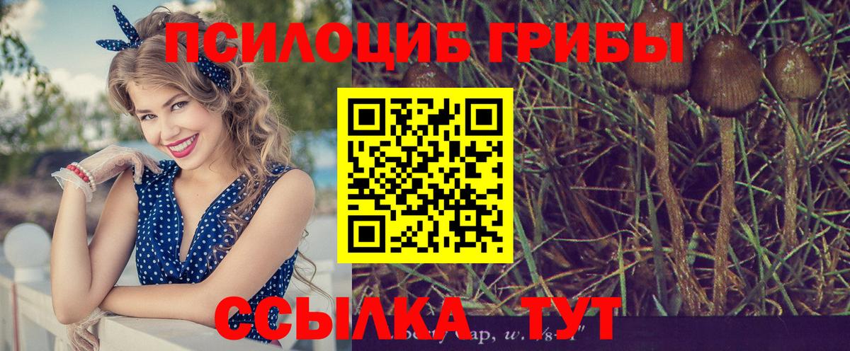 Псилоцибиновые грибы ЛСД Чистополь