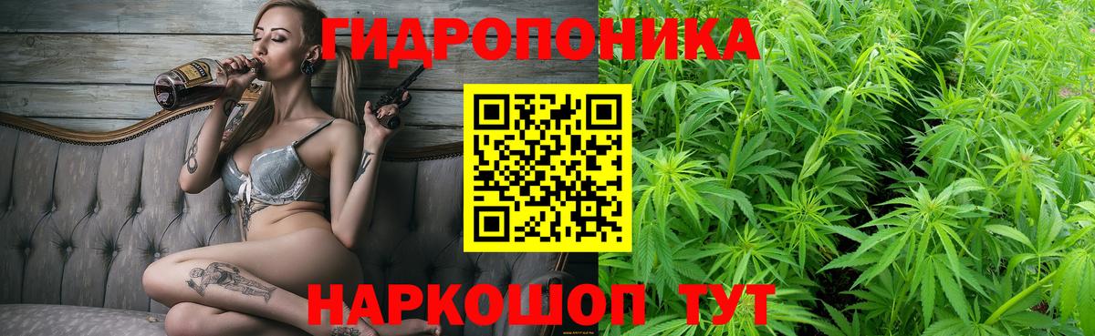 Шишки марихуана конопля Чистополь